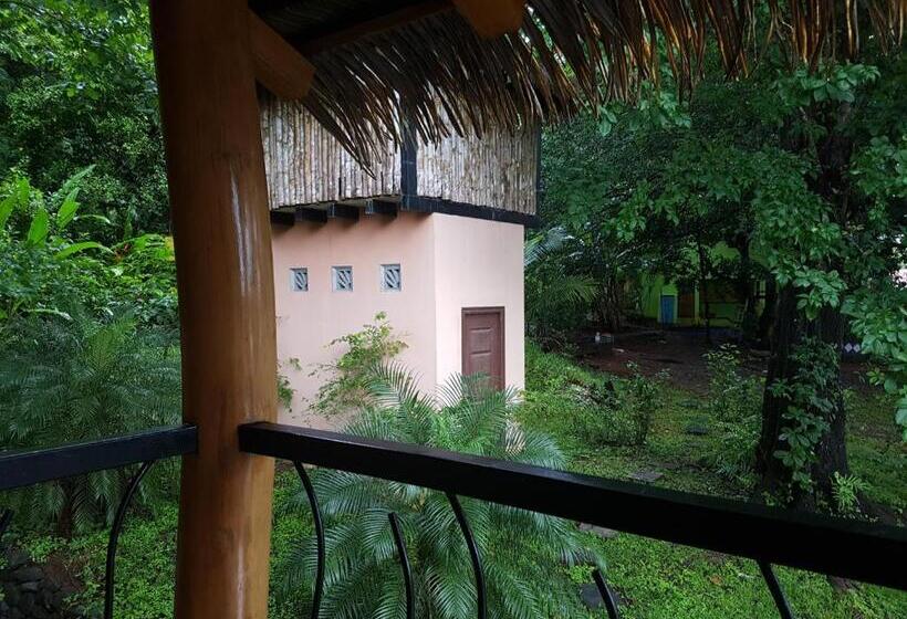 旅馆 Bodhi Santa Catalina