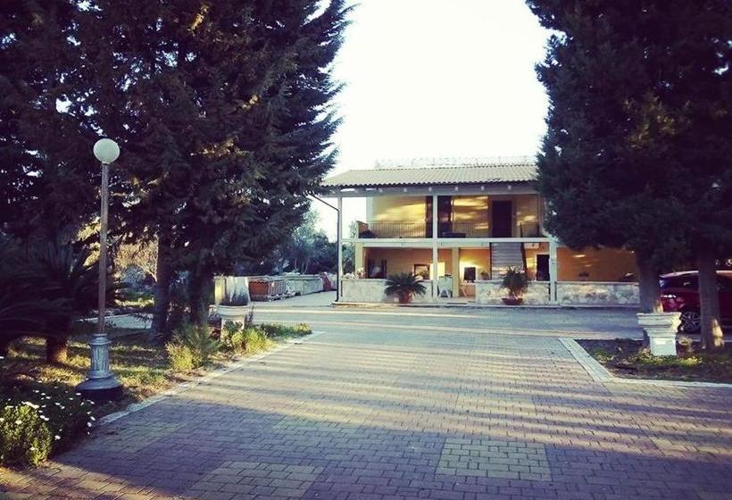 B&b Verdeoliva
