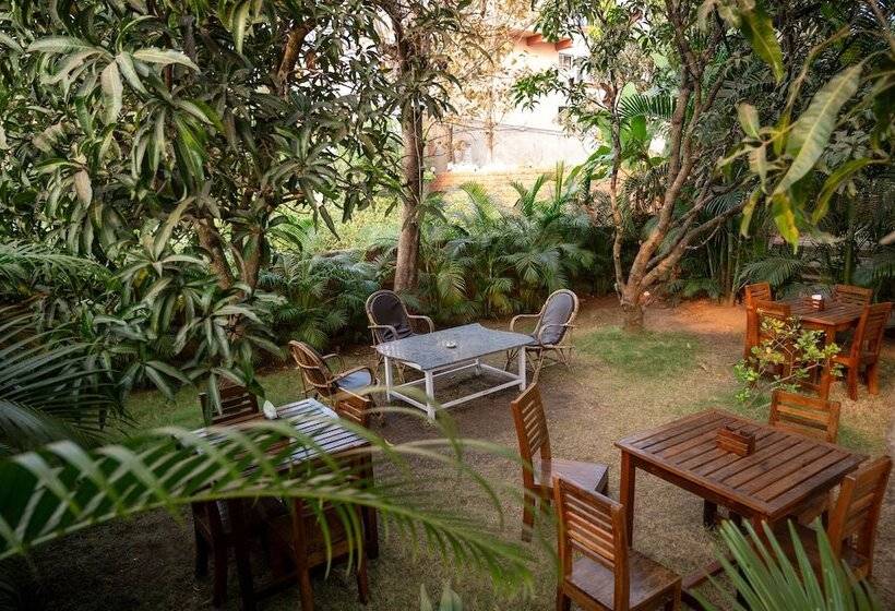 ベッドアンドブレックファースト Harmal S Residency