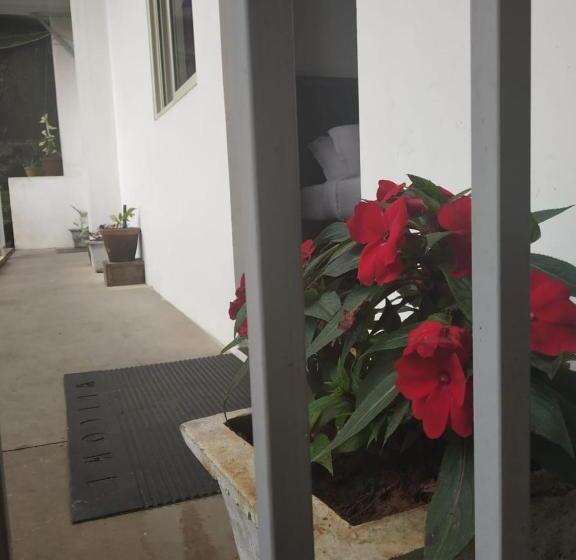 مبيت وإفطار Landy Queen