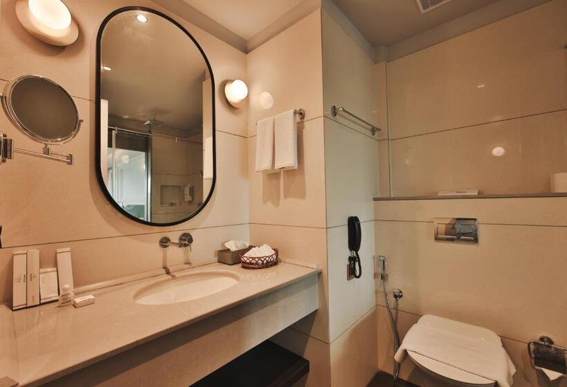 Отель Pushpak Grande