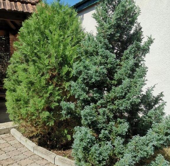 پانسیون Villa Platinum