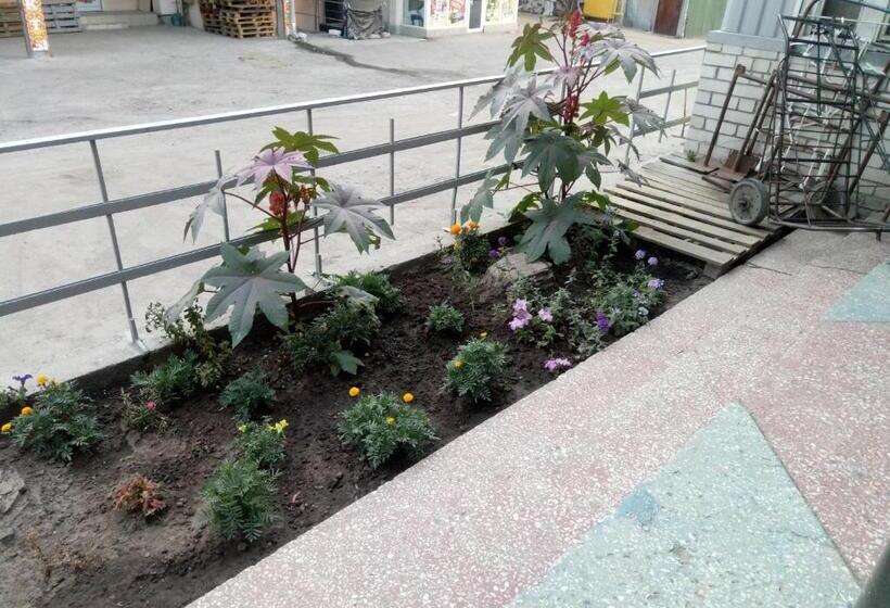 Small Room With Big Cinema