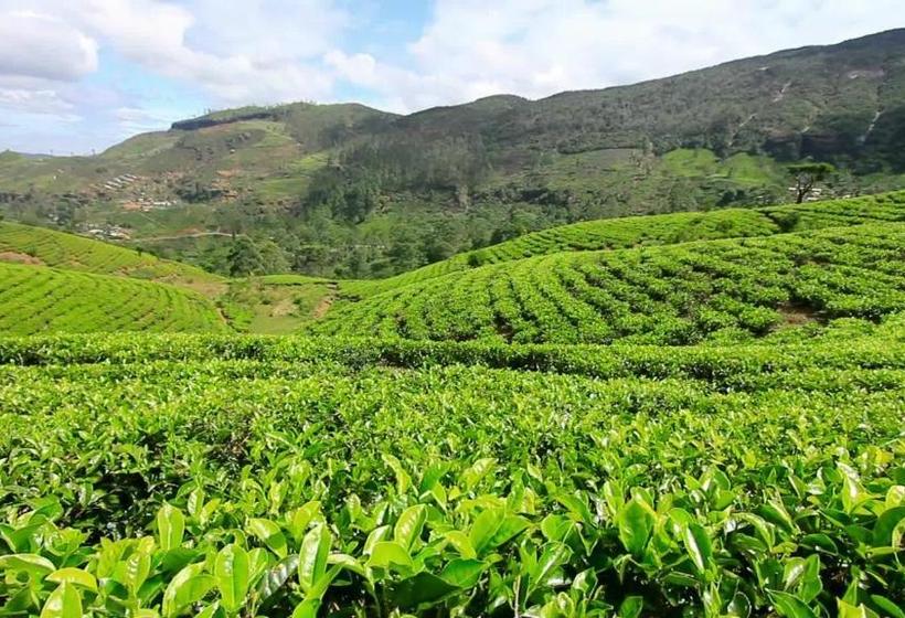 민박 Riverview Lodge