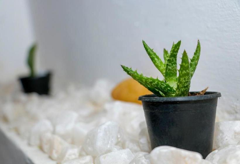 민박 Riverview Lodge