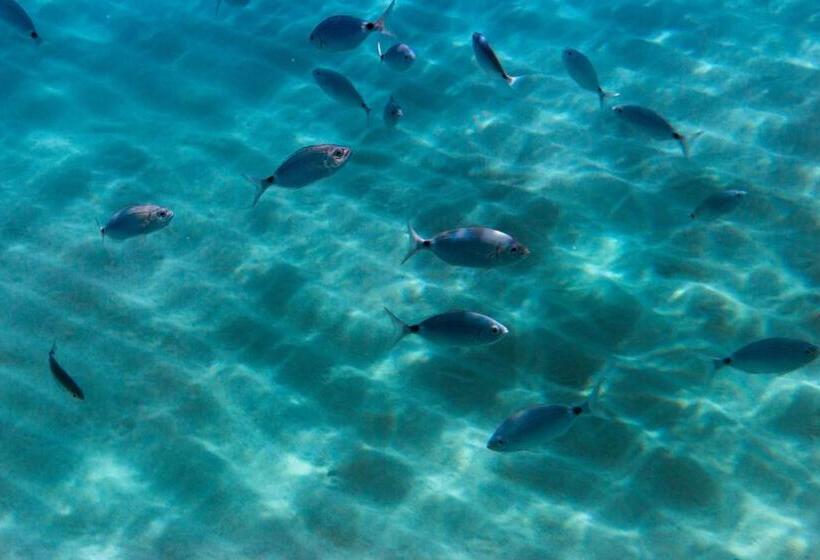 호텔 Borgo Donna Canfora