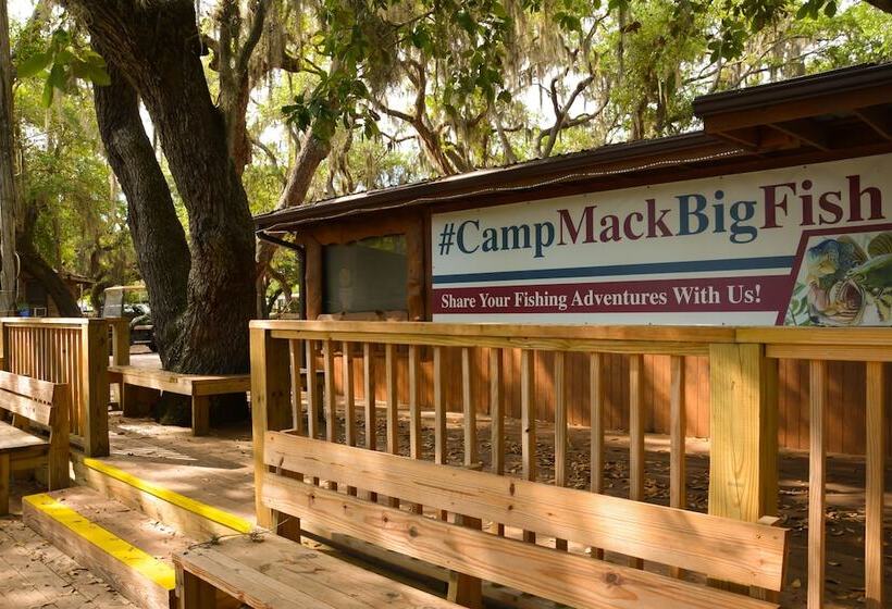 فندق Camp Mack, A Guy Harvey Lodge