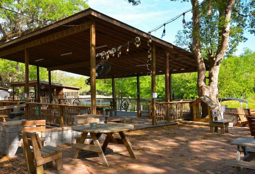 فندق Camp Mack, A Guy Harvey Lodge