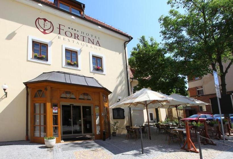 فندق Fortna