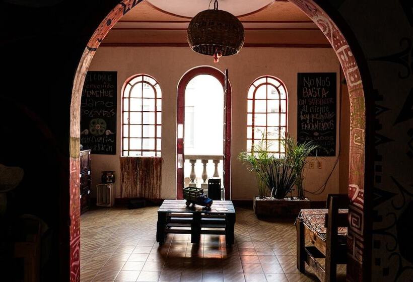 فندق Hostal Chesal