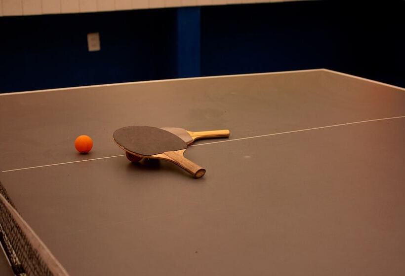 فندق Hostal Chesal