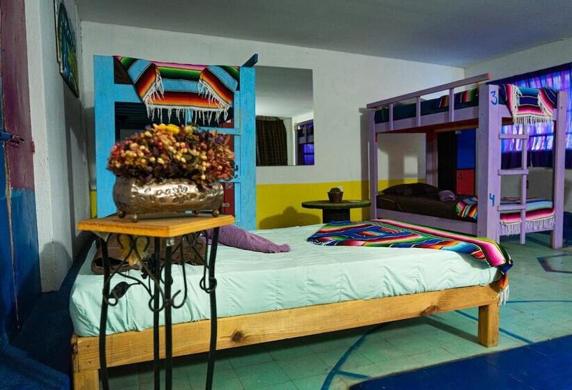 فندق Hostal Chesal