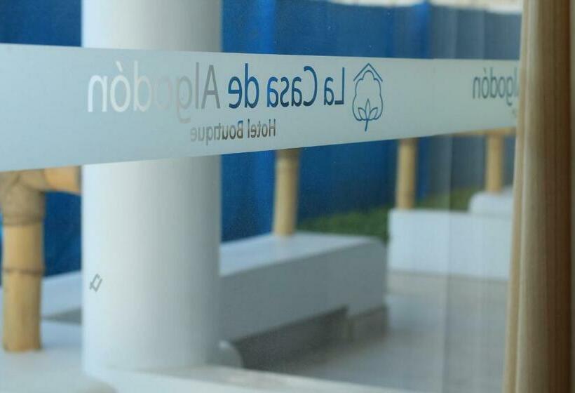 هتل La Casa De Algodon