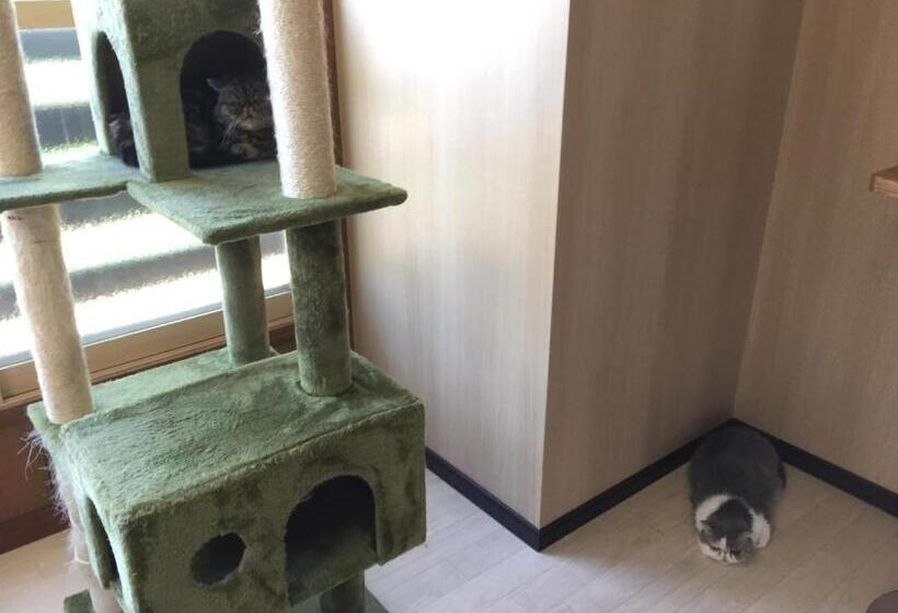 펜션 Cat Cafe & Stay Cultus S Home