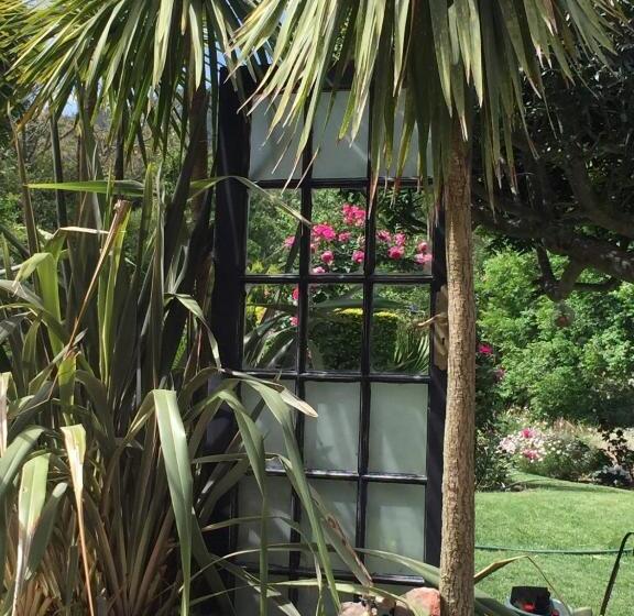 פנסיון Leeuwenhof Guesthouse
