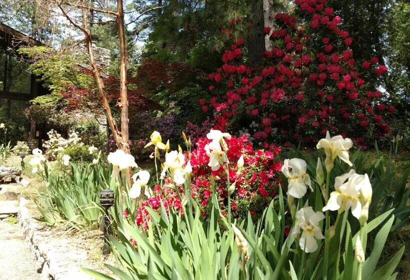 Ponderosa Ridge A B & B