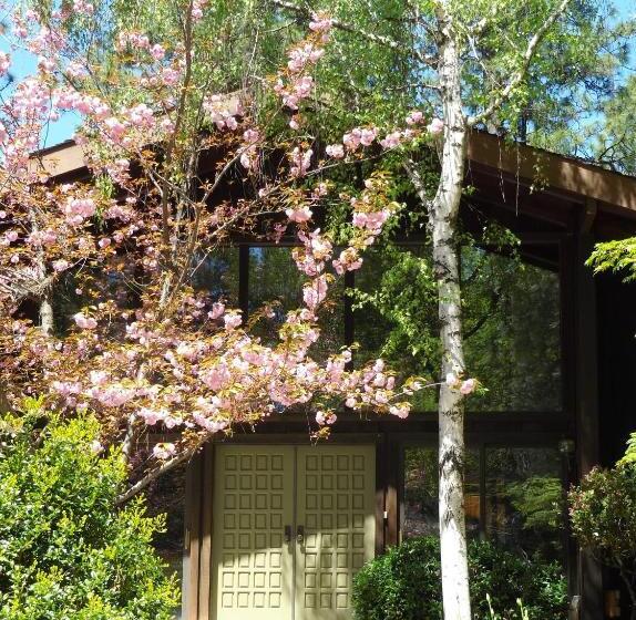 Ponderosa Ridge A B & B