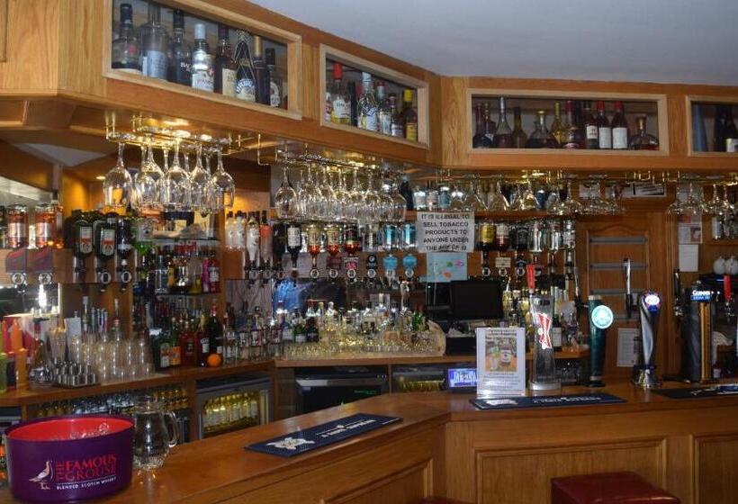 فندق صغير Cheers Cafe Bar & Tavern