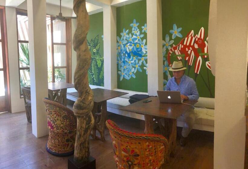 Casa 5 Bed & Breakfast