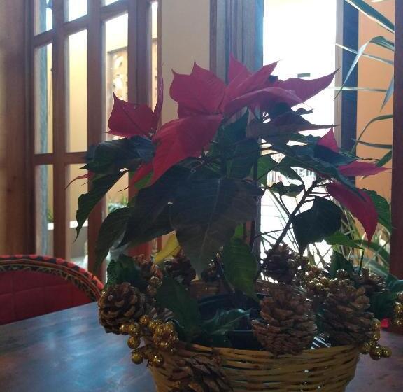 Casa 5 Bed & Breakfast