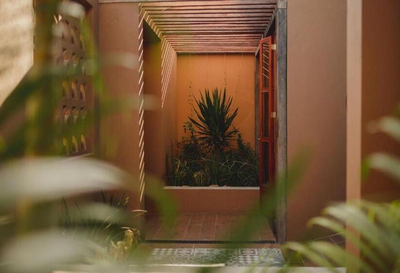 Casa 5 Bed & Breakfast