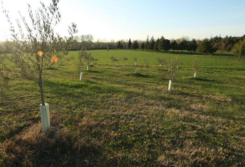 호텔 Agriturismo La Fondazza