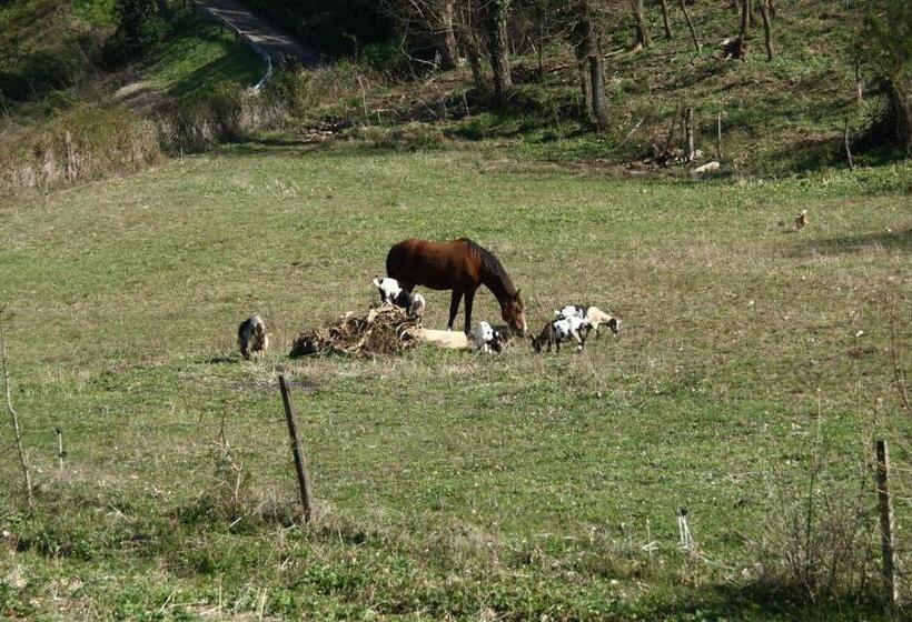 호텔 Agriturismo La Fondazza