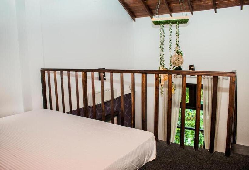 בית מלון כפרי Bella Vista