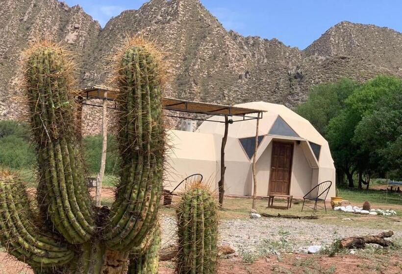 فندق Hacienda Casa Blanca