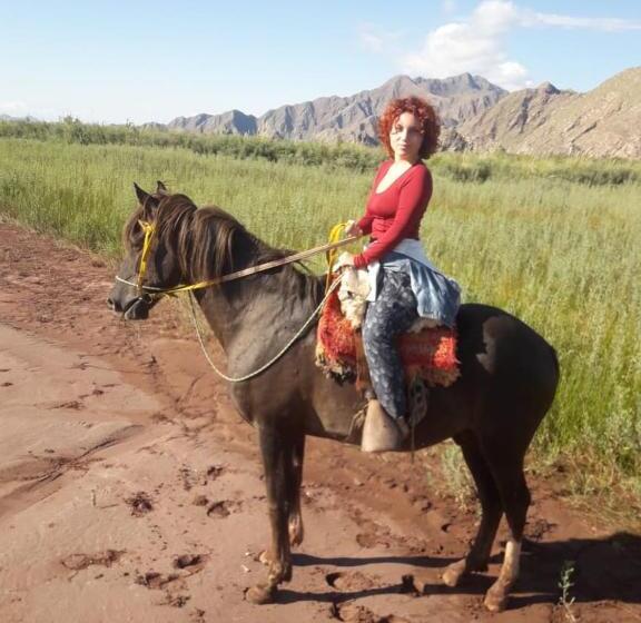 فندق Hacienda Casa Blanca