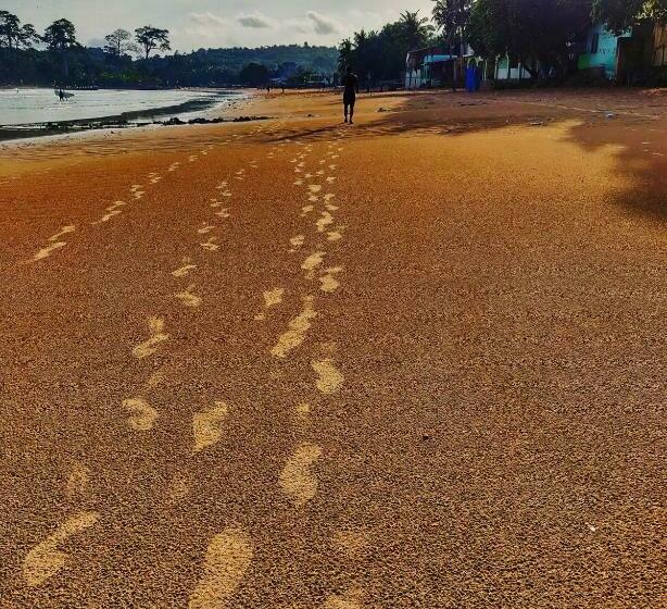 هتل Serenity Haven Lodge