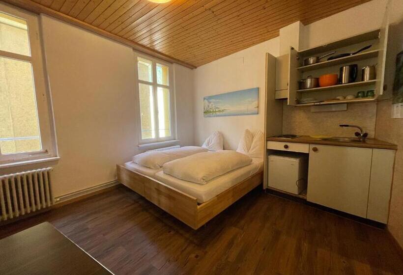 膳宿费 Downtown Apartment 9