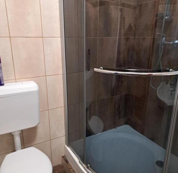 住宿加早餐  Hőforrás Wellness Vendégház