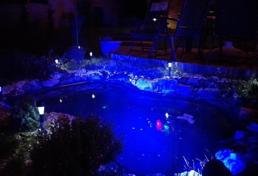 住宿加早餐  Hőforrás Wellness Vendégház