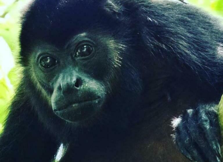 هتل Finca Los Caballos Montezuma