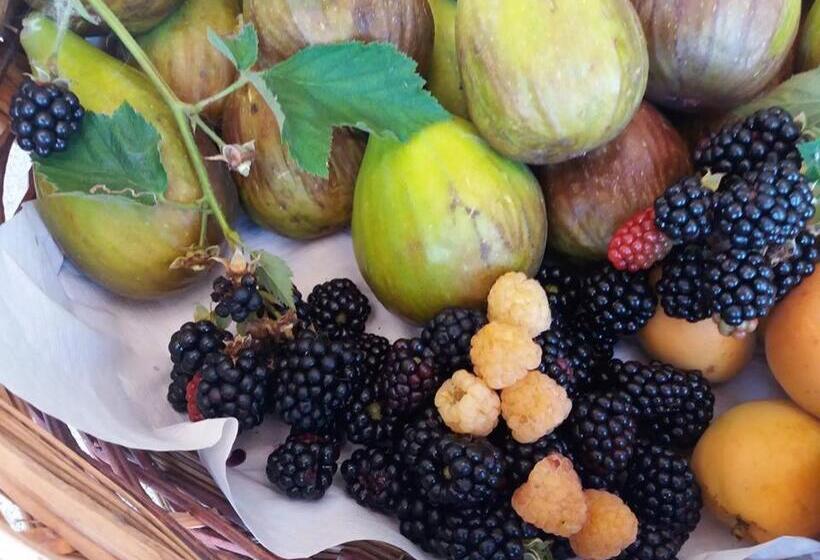 בית מלון כפרי La Fontanella