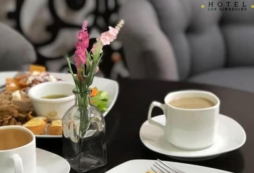 호텔 Los Girasoles