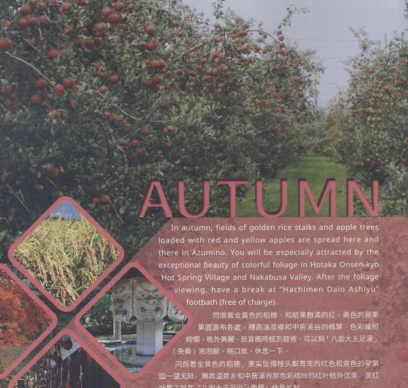 فندق Shino S Farm Inn