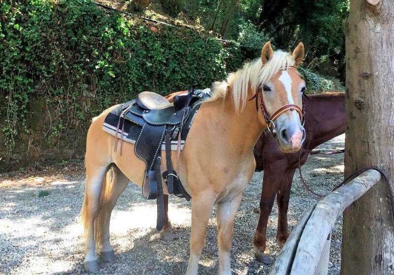 فندق Villa Musolino Country Resort