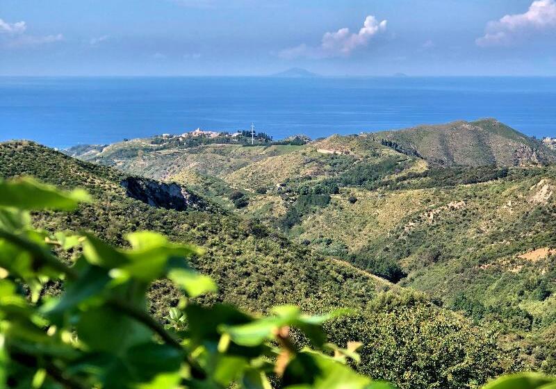 فندق Villa Musolino Country Resort