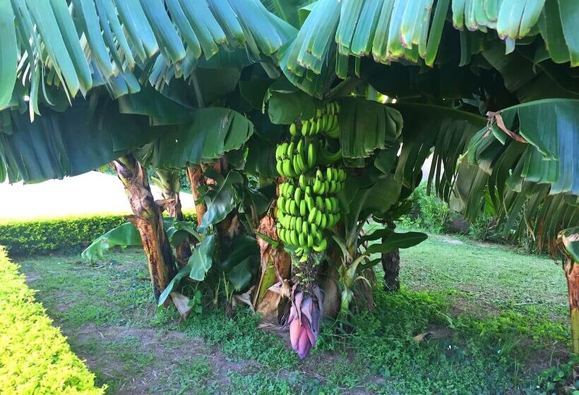 Los Jazmines Hotel Resort