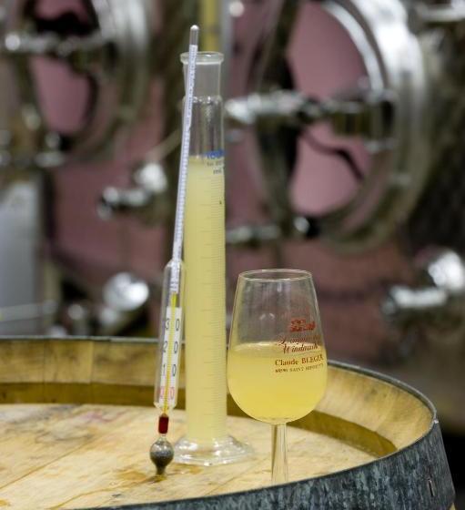 膳宿费 Domaine Bleger By Windmuehl