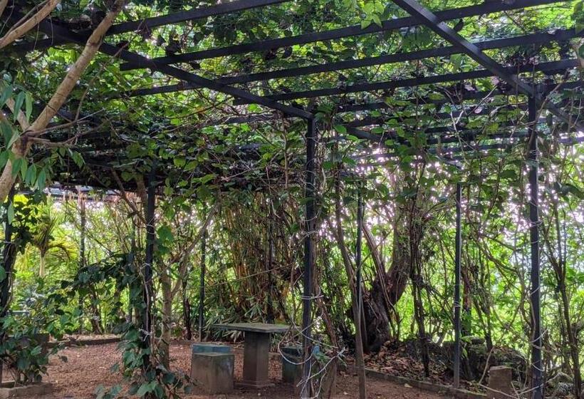 بنسيون Haritha Holidays