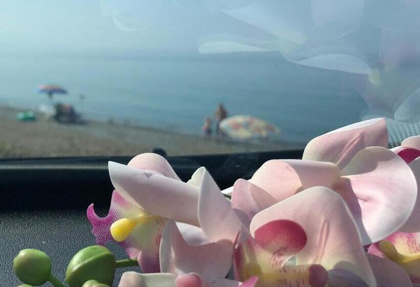 Residence Villammare