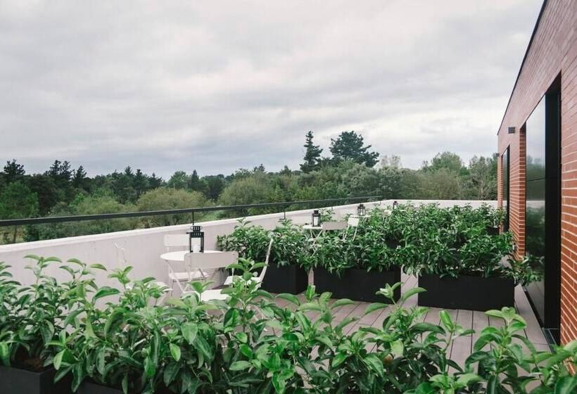 Plea Beach House   Hostel