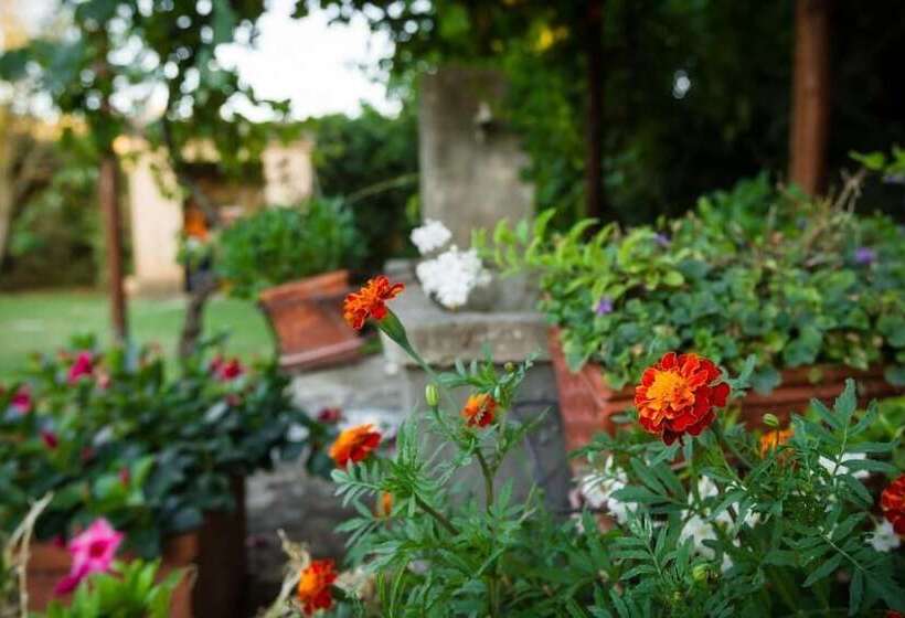 مبيت وإفطار Agriturismo Antica Pinciana