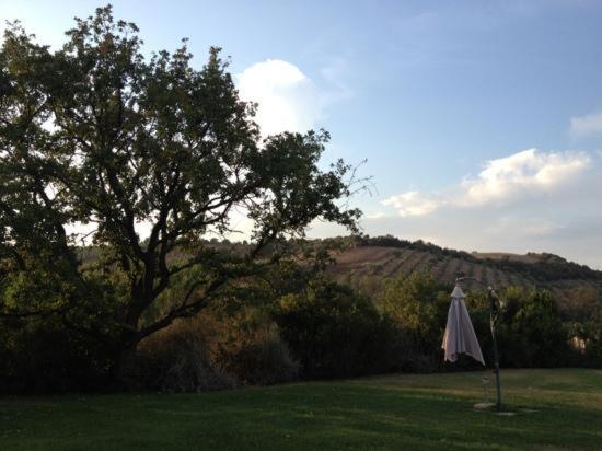 住宿加早餐  Agriturismo Antica Pinciana