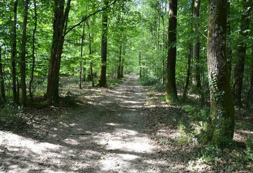 ベッドアンドブレックファースト Château De Saint Ouen Les Vignes