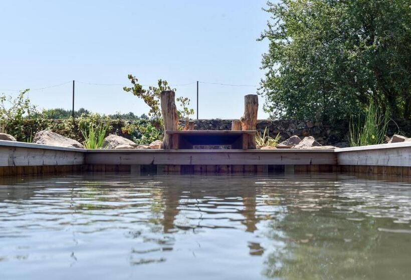 住宿加早餐  Manoir De Jouralem