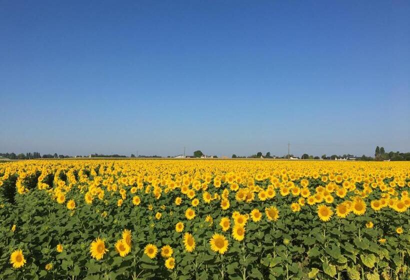 住宿加早餐  Manoir De Jouralem